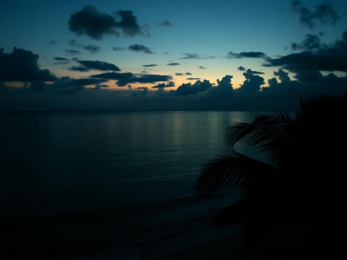 Bahamian shoreline at dusk
